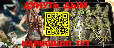 PSILOCYBIN Нальчик