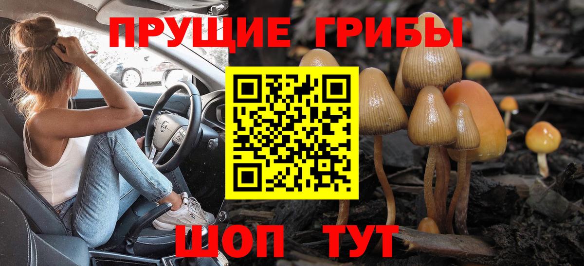 Галлюциногенные грибы MAGIC MUSHROOMS Химки