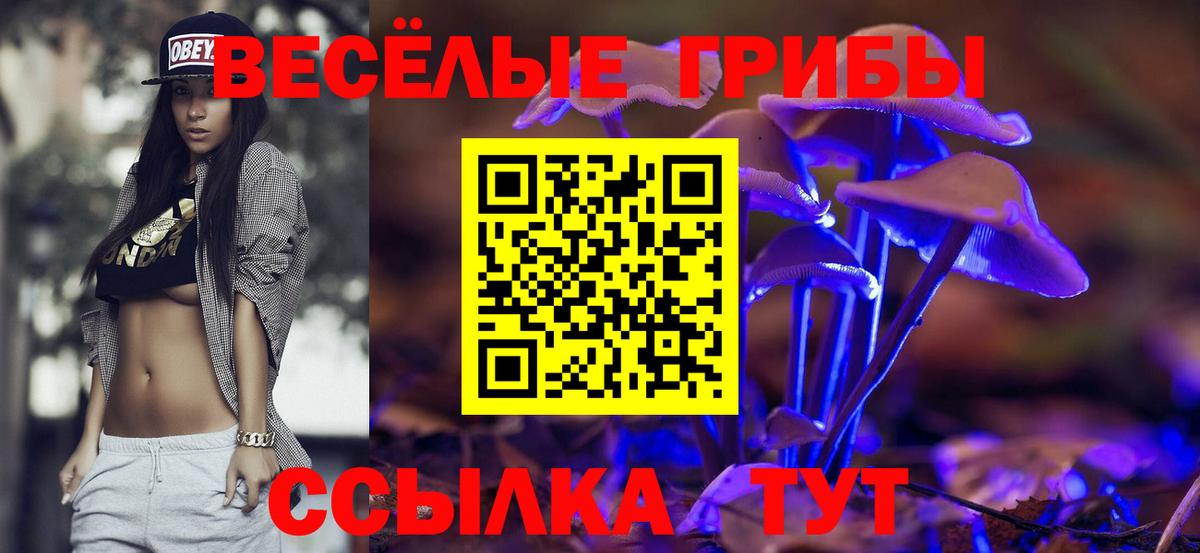 Химки  Галлюциногенные грибы GOLDEN TEACHER  Вход с VPN 